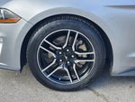 2020 Mustang Thumbnail 10
