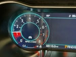 2020 Mustang Thumbnail 12