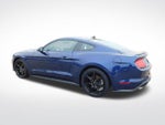 2020 Mustang Thumbnail 5
