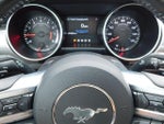 2020 Mustang Thumbnail 26
