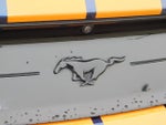 2020 Mustang Thumbnail 33
