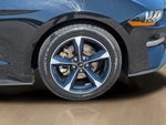 2020 Mustang Thumbnail 6