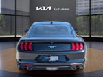 2020 Mustang Thumbnail 9
