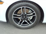 2021 Mustang Thumbnail 9