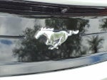 2021 Mustang Thumbnail 10