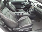 2021 Mustang Thumbnail 13