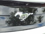 2021 Mustang Thumbnail 10