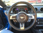 2021 Mustang Thumbnail 21