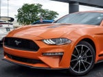 2021 Mustang Thumbnail 3