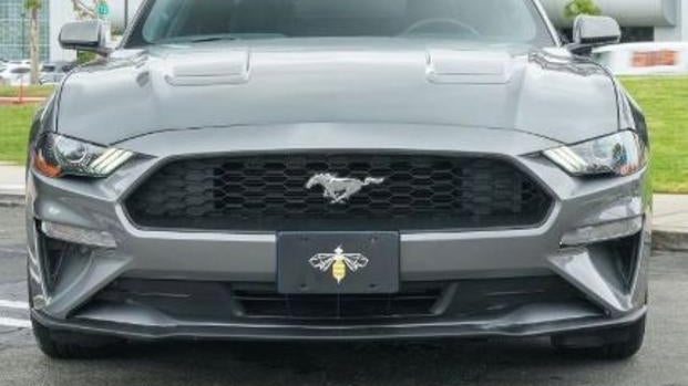 2022 Ford Mustang EcoBoost