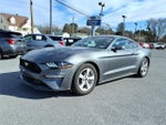 2023 Mustang Thumbnail 1
