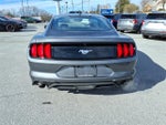 2023 Mustang Thumbnail 5