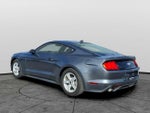 2023 Mustang Thumbnail 6