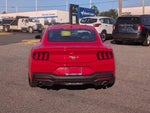 2024 Mustang Thumbnail 4