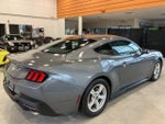 2024 Mustang Thumbnail 5