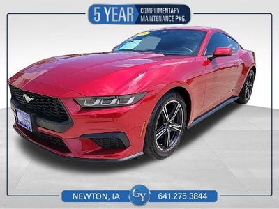Photo of a 2024 Ford Mustang Ecoboost Premium 2DR Fastback for sale
