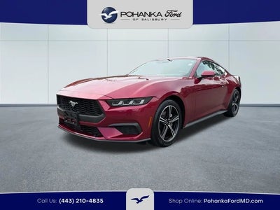 2025 Ford Mustang Ecoboost Premium 2DR Fastback