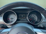 2015 Mustang Thumbnail 17