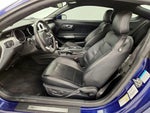 2015 Mustang Thumbnail 11