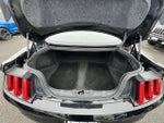 2017 Mustang Thumbnail 29