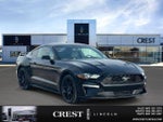 2018 Mustang Thumbnail 1