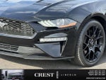 2018 Mustang Thumbnail 6