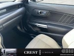 2018 Mustang Thumbnail 19