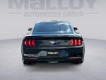 2018 Mustang Thumbnail 4