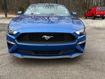 2018 Mustang Thumbnail 5