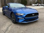 2018 Mustang Thumbnail 19