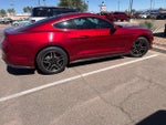2019 Mustang Thumbnail 2