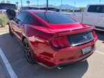 2019 Mustang Thumbnail 3