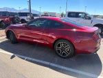 2019 Mustang Thumbnail 4