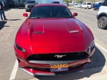 2019 Mustang Thumbnail 5