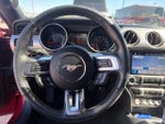 2019 Mustang Thumbnail 9