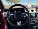 2019 Mustang Thumbnail 17