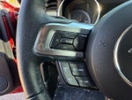 2019 Mustang Thumbnail 18