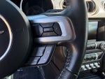 2019 Mustang Thumbnail 19