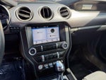 2019 Mustang Thumbnail 21