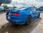2019 Mustang Thumbnail 3
