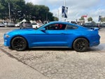 2019 Mustang Thumbnail 4