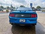 2019 Mustang Thumbnail 6