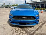 2019 Mustang Thumbnail 8