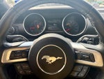2019 Mustang Thumbnail 14