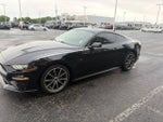 2019 Mustang Thumbnail 2