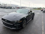 2019 Mustang Thumbnail 4