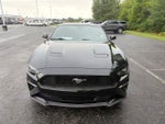 2019 Mustang Thumbnail 5