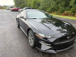 2019 Mustang Thumbnail 6