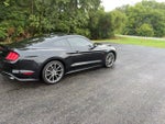 2019 Mustang Thumbnail 9