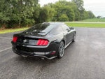 2019 Mustang Thumbnail 10